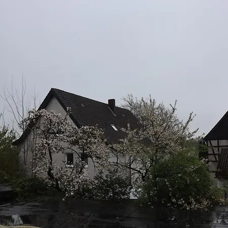 Haarener Hof Бад-Вюнненберг